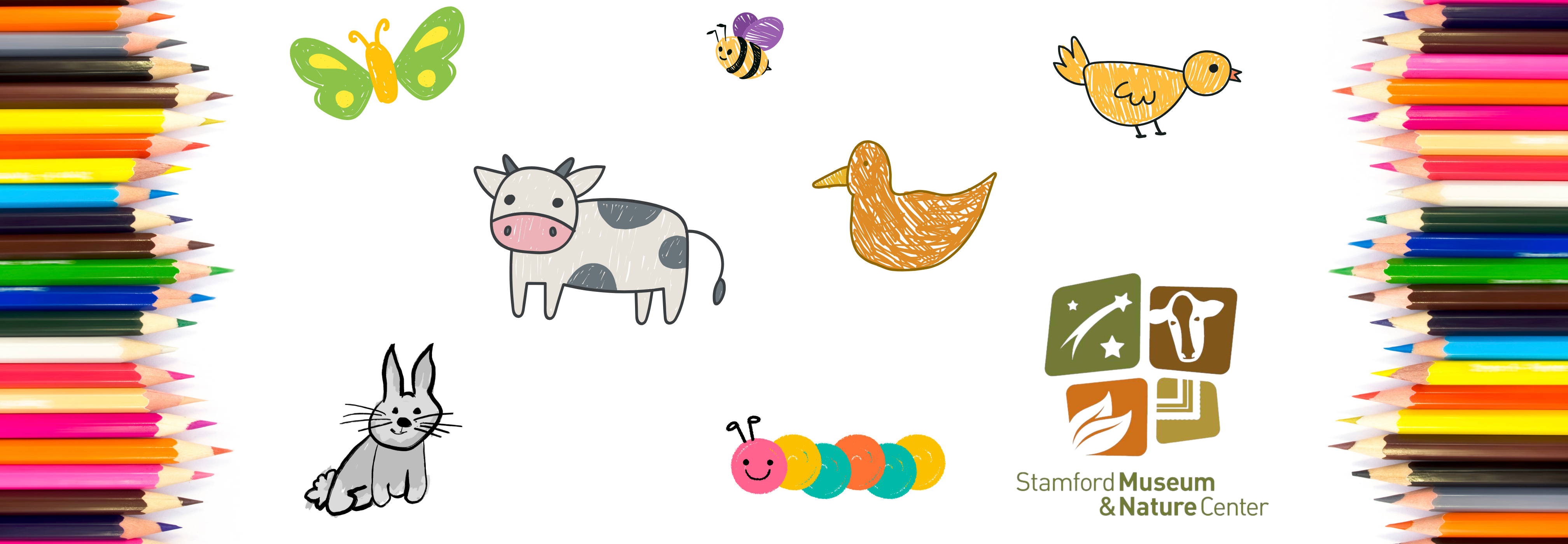 Mixed Media Menagerie with Stamford Museum & Nature Center | 8/13