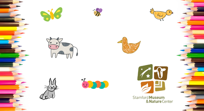 Mixed Media Menagerie with SMNC | 8/13 at 3:30pm