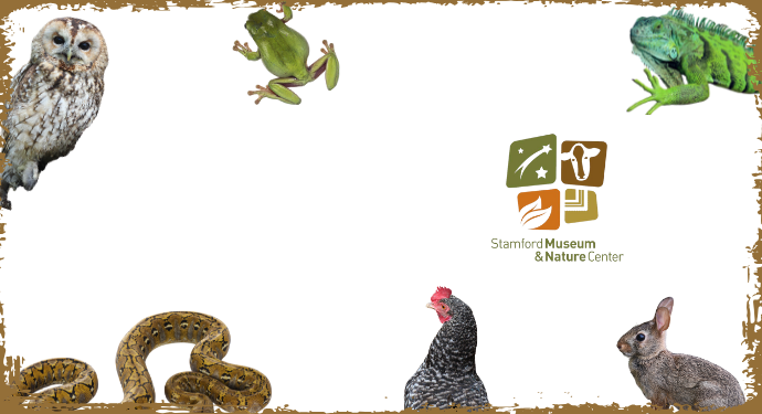 Colors in Nature with SMNC for ages 3–10 | 7/16