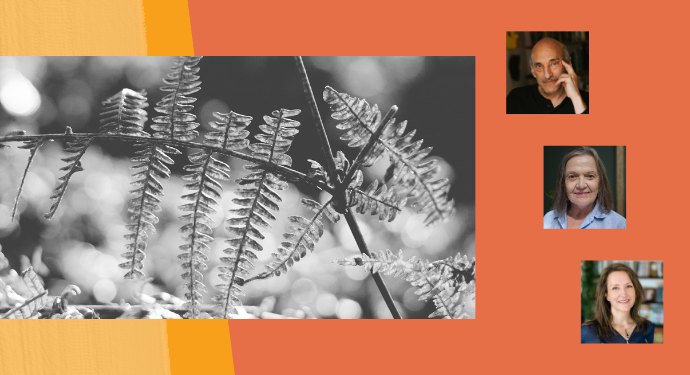 Local Poets Reading | May 21 at 7pm