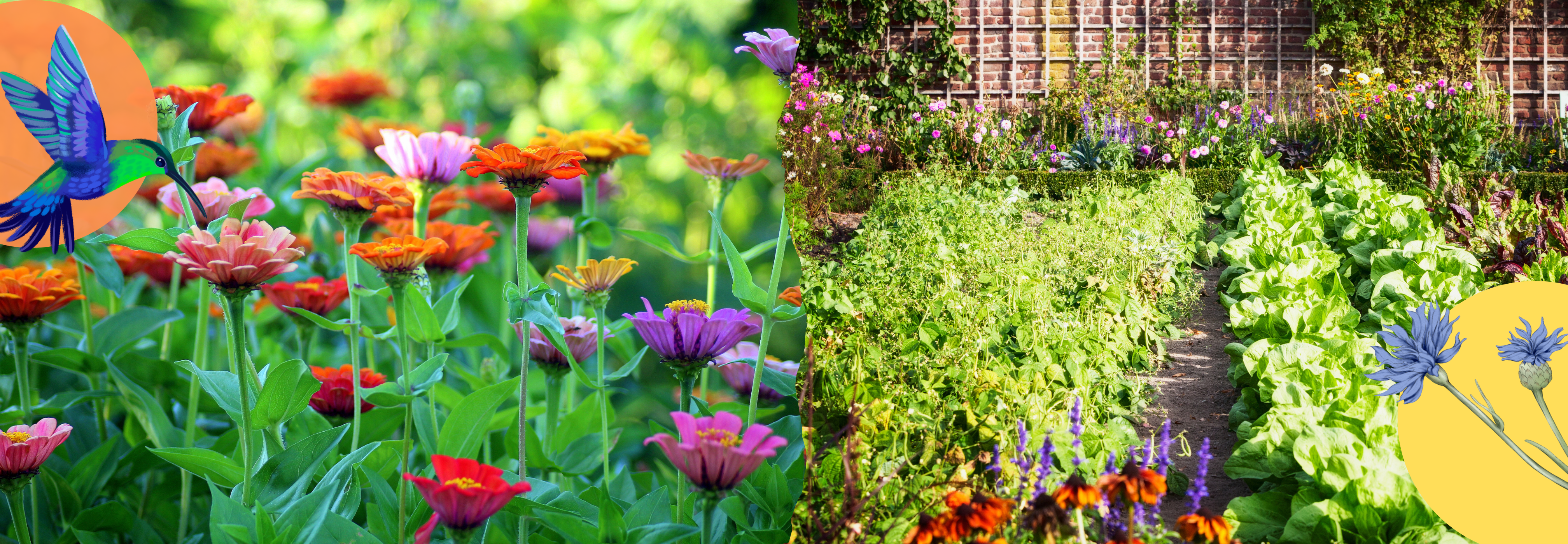 Sustainability in the Garden | May 14 at 7pm